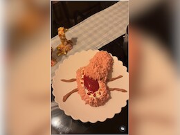 "This Is Love": Wife's E. Coli-Shaped Cake For Celebrating Husband's Achievement Pleases Internet "This Is Love": Wife's E. Coli-Shaped Cake For Celebrating Husband's Achievement Pleases Internet