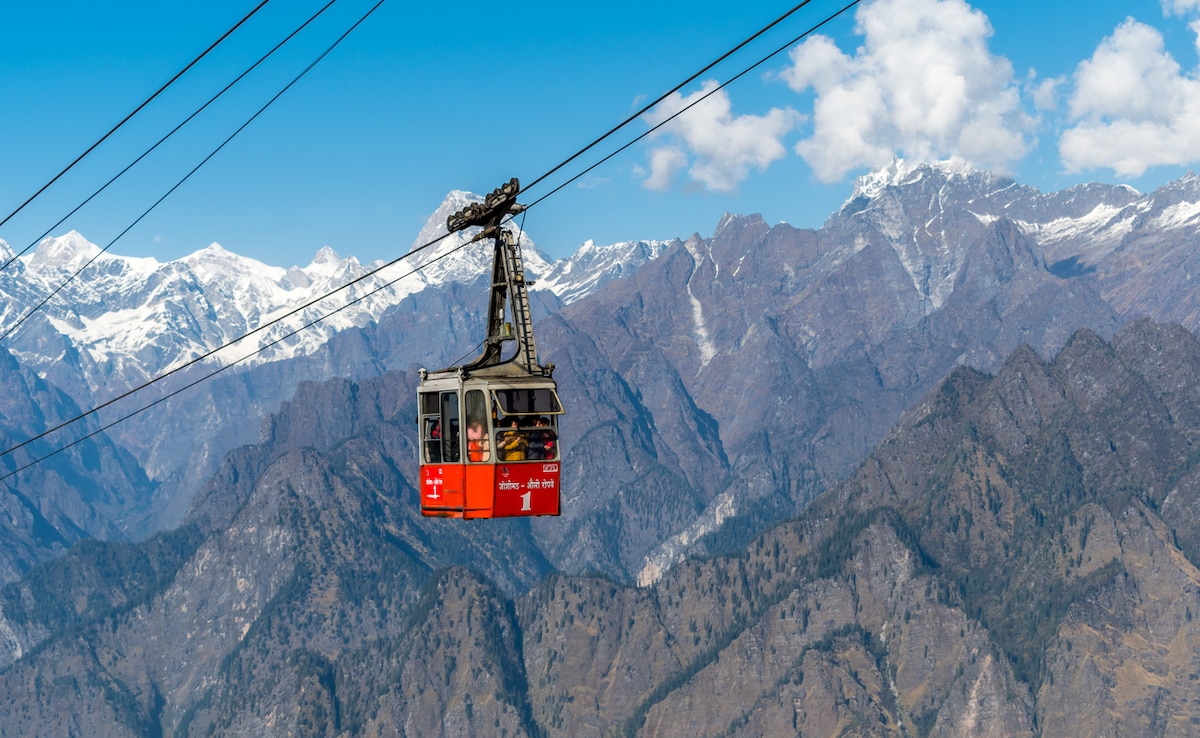 Photo: iStock Photo: iStock