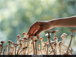 Psilocybin May Help Manage Cancer Treatment Side Effects: Study