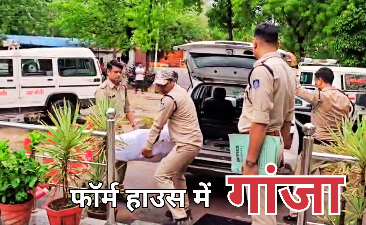 Marijuana Recovered: फार्म हाउस पर पड़ी RAID, 216 Kg से अधिक गांजा बरामद, कीमत करीब 45 लाख रुपए