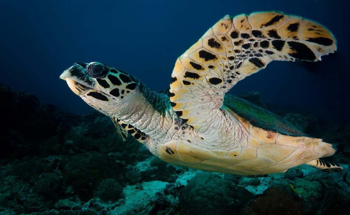 Photo: Unsplash Photo: Unsplash