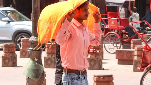 Warm Spell Grips Delhi As City Sizzles At 34.3 Degrees Celsius