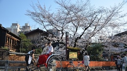 Kyoto Introduces Japan's Highest-Ever Hotel Tax To Tackle Overtourism
