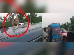 VIDEO: इंसान तो इंसान अब हाथियों के लिए भी सिर दर्द बना ट्रैफिक जाम, हरिद्वार हाईवे का नजारा देख हिल जाएगा दिमाग VIDEO: इंसान तो इंसान अब हाथियों के लिए भी सिर दर्द बना ट्रैफिक जाम, हरिद्वार हाईवे का नजारा देख हिल जाएगा दिमाग