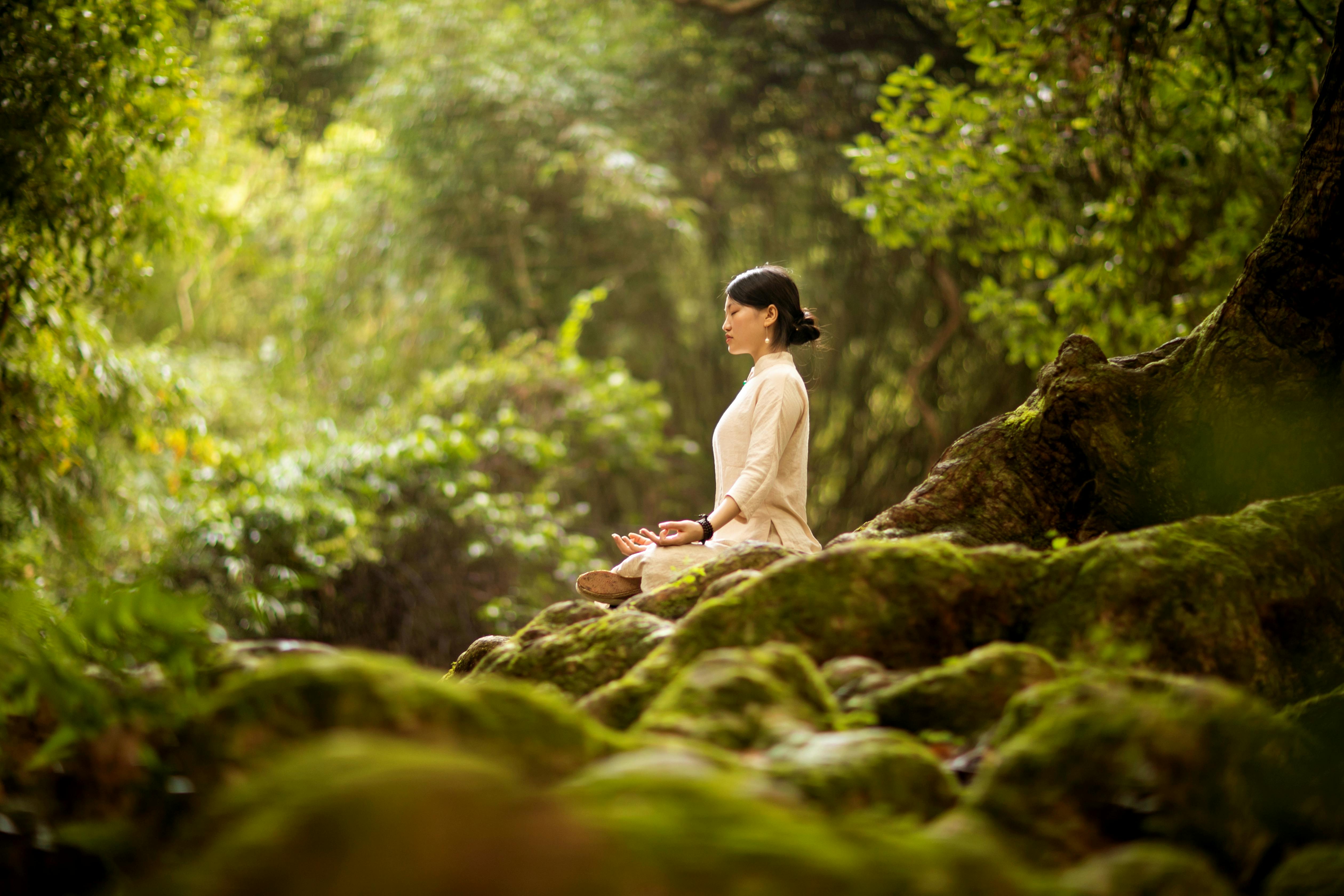 Global Wellness Day 2025: 7 Reasons Everyone's Talking About Wellness Tourism This Year