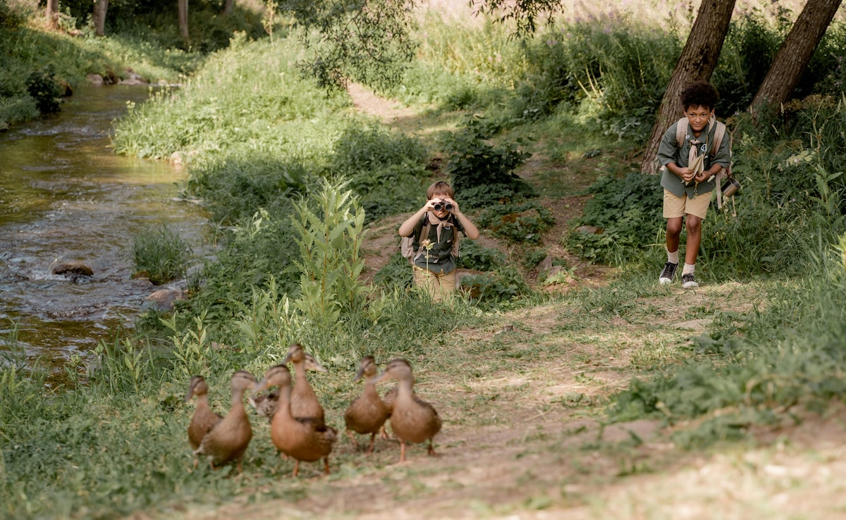 бързо четене Резюме е генериран от AI прегледано Newsroom Индия