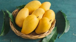 Nutritionist Shares 8 Powerful Health Benefits Of Mango You Did Not Know