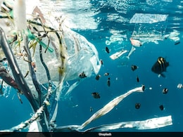 Here's How Plastic Pollution Is Affecting Your Body