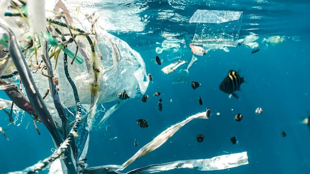Avoid exposure of plastic pollution to reduce these health risks