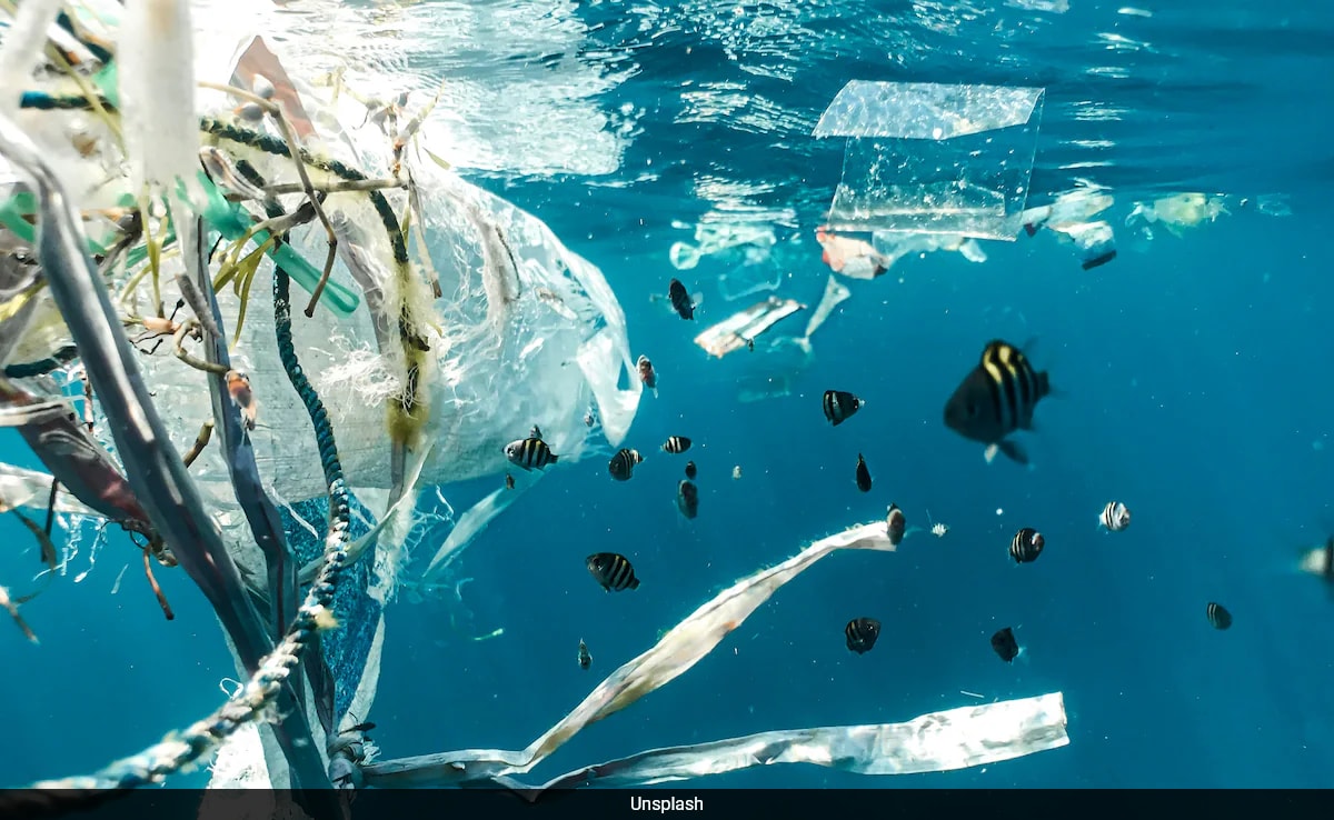 замърсяването на пластмасата се отнася до натрупването на пластмасови отпадъци