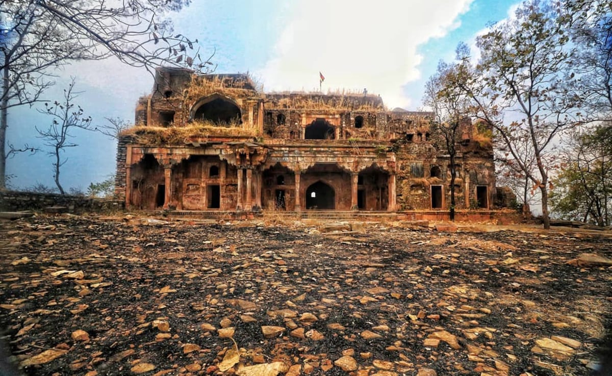 Photo: Instagram/art_kona