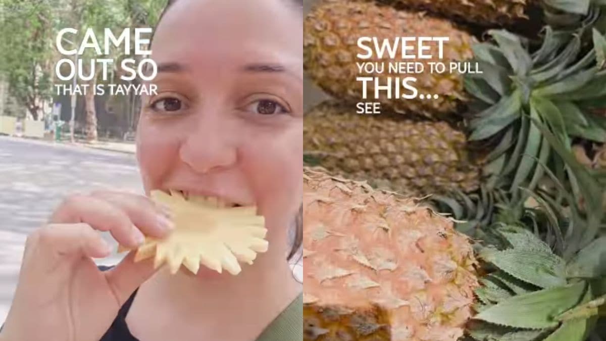 Watch: Actress Nauheed Cyrusi Shares A Useful Hack To Check The Sweetness Of Pineapples Watch: Actress Nauheed Cyrusi Shares A Useful Hack To Check The Sweetness Of Pineapples