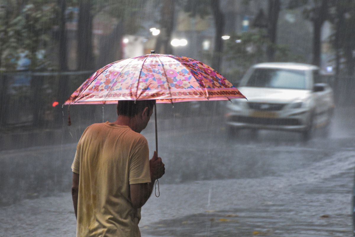 Heavy Rain In Madhya Pradesh, Light Showers In Delhi: Check Weather Forecast For Next 2-3 Days