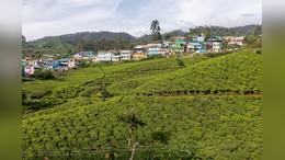 6 Stunning Places To Visit In South India During Monsoon (And Why They Hit Different In The Rain)