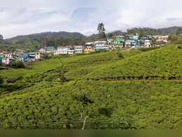 6 Stunning Places To Visit In South India During Monsoon (And Why They Hit Different In The Rain)