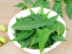 Neem May Help Fight Pancreatic Cancer, Plus Other Health Benefits
