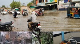 Lightning-Storm: MP में आकाशीय बिजली-आंधी का तांडव, 7 की मौत, कई घायल, कई जगह गिरे पेड़; टीनशेड भी उड़े