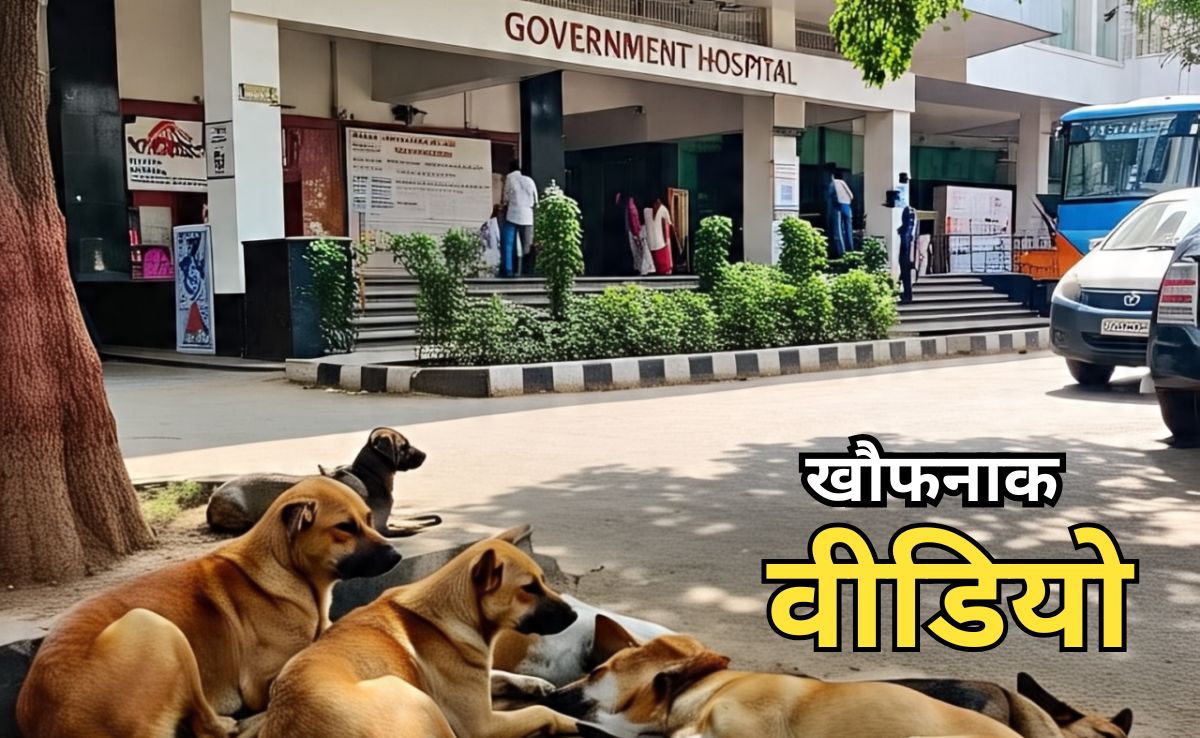 Terrible Video: नवजात बच्चे को मुंह में दबाकर सरकारी अस्पताल से बाहर आता दिखा कुत्ता, सीसीटीवी में कैद हुई खौफनाक तस्वीर