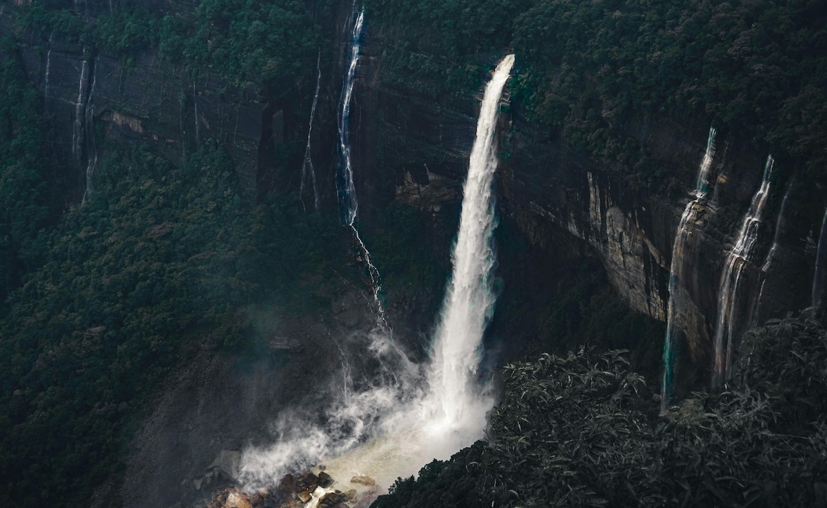 Latest and Breaking News on NDTV Latest and Breaking News on NDTV