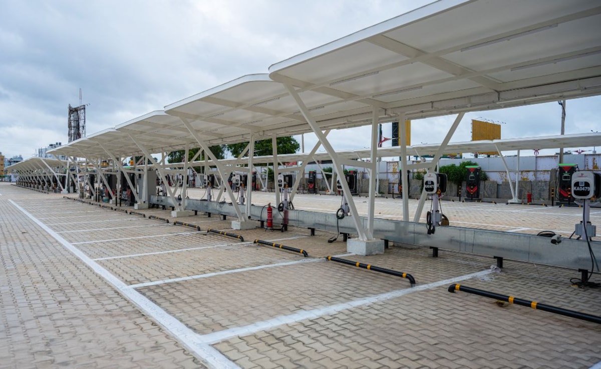 The Art of Baking: From Classic Bread to Artisan Pastries