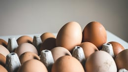 India Ahead Of Neighbours In Egg Intake, But Still Lags Global Average