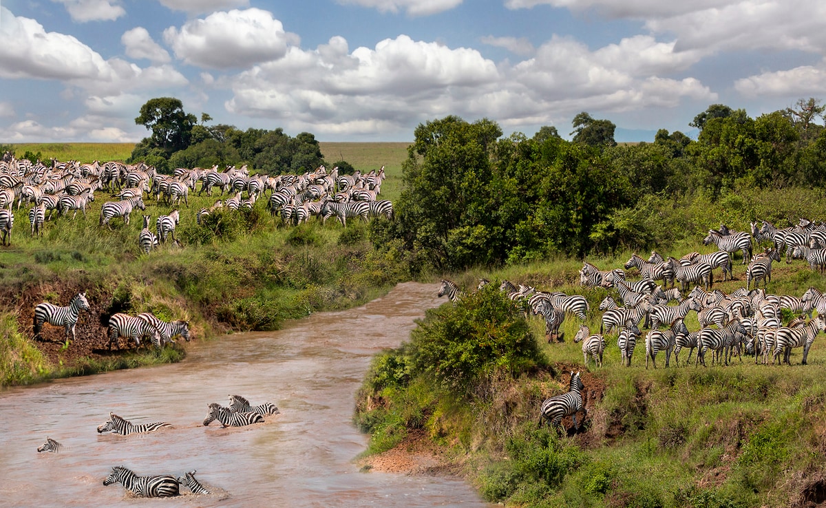 Photo: iStock Photo: iStock