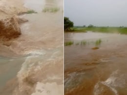 VIDEO: बुलंदशहर में गंगनहर की पटरी कटने से मचा हड़कंप, सैकड़ों बीघा फसल डूबी, कई गावों में फैला पानी VIDEO: बुलंदशहर में गंगनहर की पटरी कटने से मचा हड़कंप, सैकड़ों बीघा फसल डूबी, कई गावों में फैला पानी
