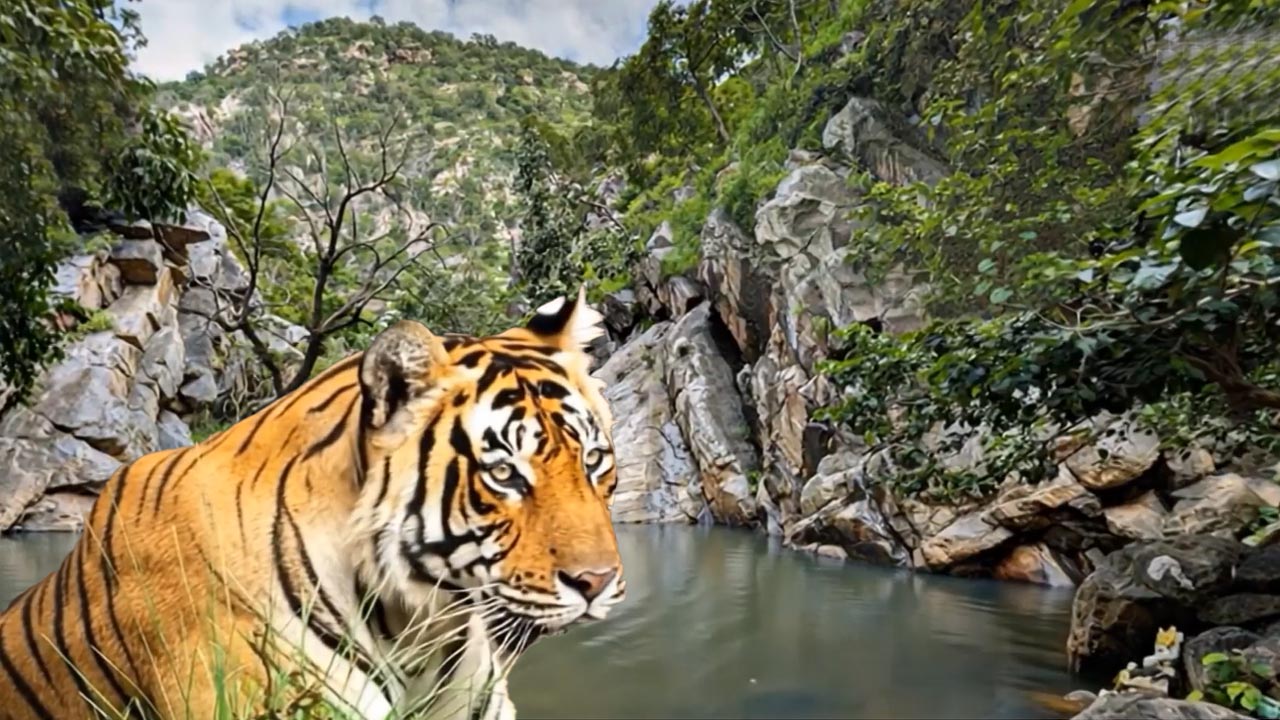 Explained With Animation: How Sariska Tiger Reserve Is Being Re-Demarcated