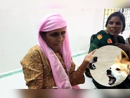 एमपी के सिलावद के हाट-बाजार में भी पागल कुत्ते का आतंक, एक घंटे में 11 लोगों को शिकार बनाने से फैली दहशत