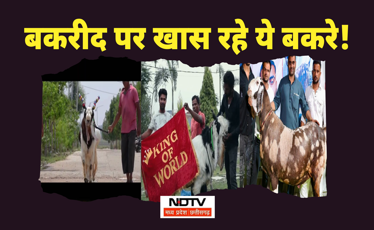 Eid ul Adha Mubarak: किंग ऑफ वर्ल्ड से ताज तक; बकरीद पर खास रहे ये बकरे, लाखों की लगी बोली, जानिए खूबियां
