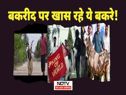 Eid ul Adha Mubarak: किंग ऑफ वर्ल्ड से ताज तक; बकरीद पर खास रहे ये बकरे, लाखों की लगी बोली, जानिए खूबियां Eid ul Adha Mubarak: किंग ऑफ वर्ल्ड से ताज तक; बकरीद पर खास रहे ये बकरे, लाखों की लगी बोली, जानिए खूबियां