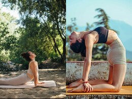 International Yoga Day: मयूरासन से उष्ट्रासन तक... अधिकतर योगासनों के नाम पशु-पक्षियों से क्यों होते हैं प्रेरित, जानें इसका रहस्य International Yoga Day: मयूरासन से उष्ट्रासन तक... अधिकतर योगासनों के नाम पशु-पक्षियों से क्यों होते हैं प्रेरित, जानें इसका रहस्य