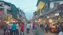 Pandharpur Wari 2025 : आषाढी एकादशीसाठी मंदिर परिसरात वाहतूक मार्गात मोठे फेरबदल, पालकमंत्र्यांचा निर्णय&nbsp;