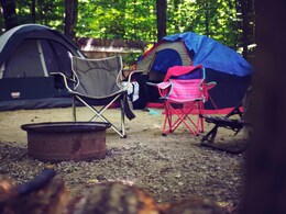 From Forest To Beaches, The Ultimate Guide To Camp Across Incredible India From Forest To Beaches, The Ultimate Guide To Camp Across Incredible India