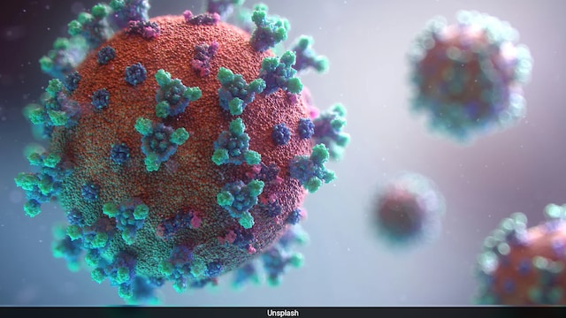 Covid-19 infections are growing or are likely to grow in 25 US states