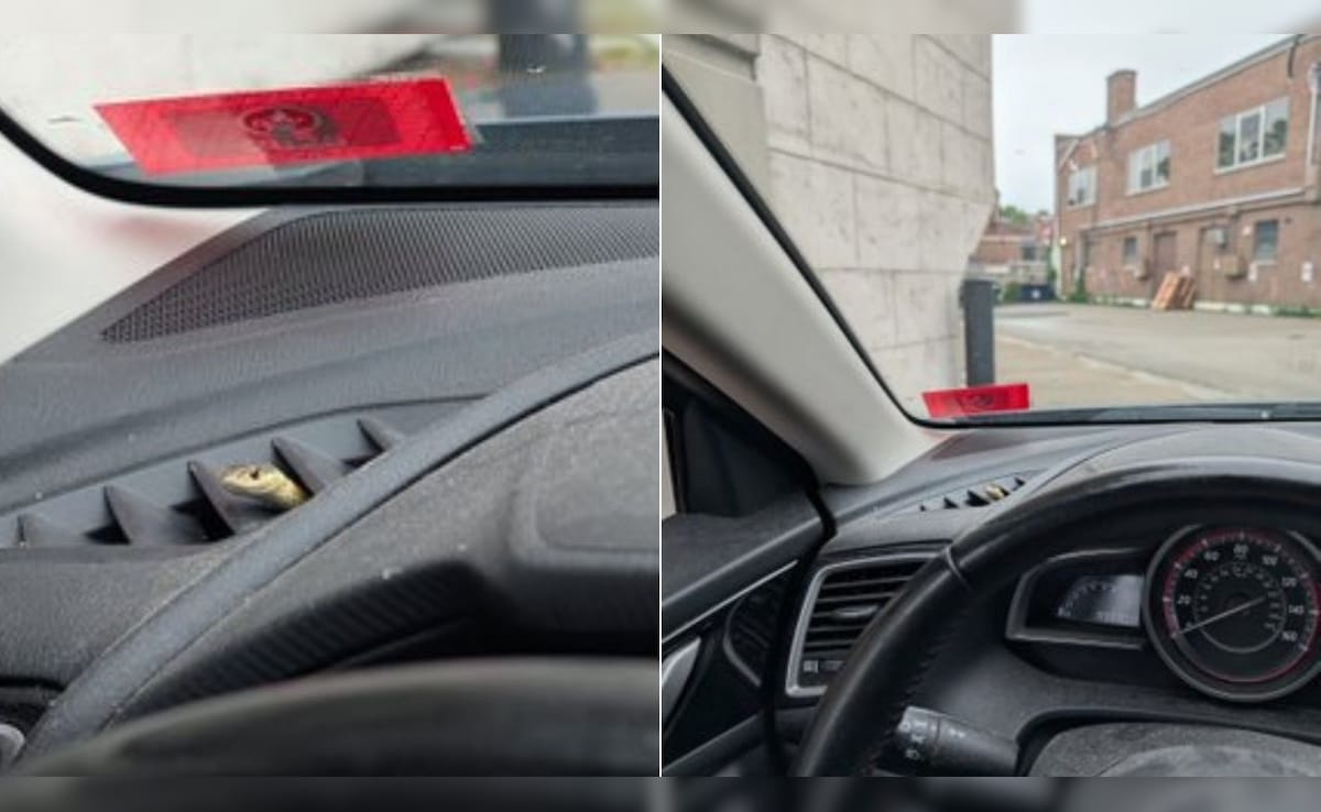 Showquick Read Резюмето е генерирано от AI рецензирана новина Мъж