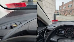 "Try Beyonce": Car Company Responds To Man's "Snake In My Mazda" Post