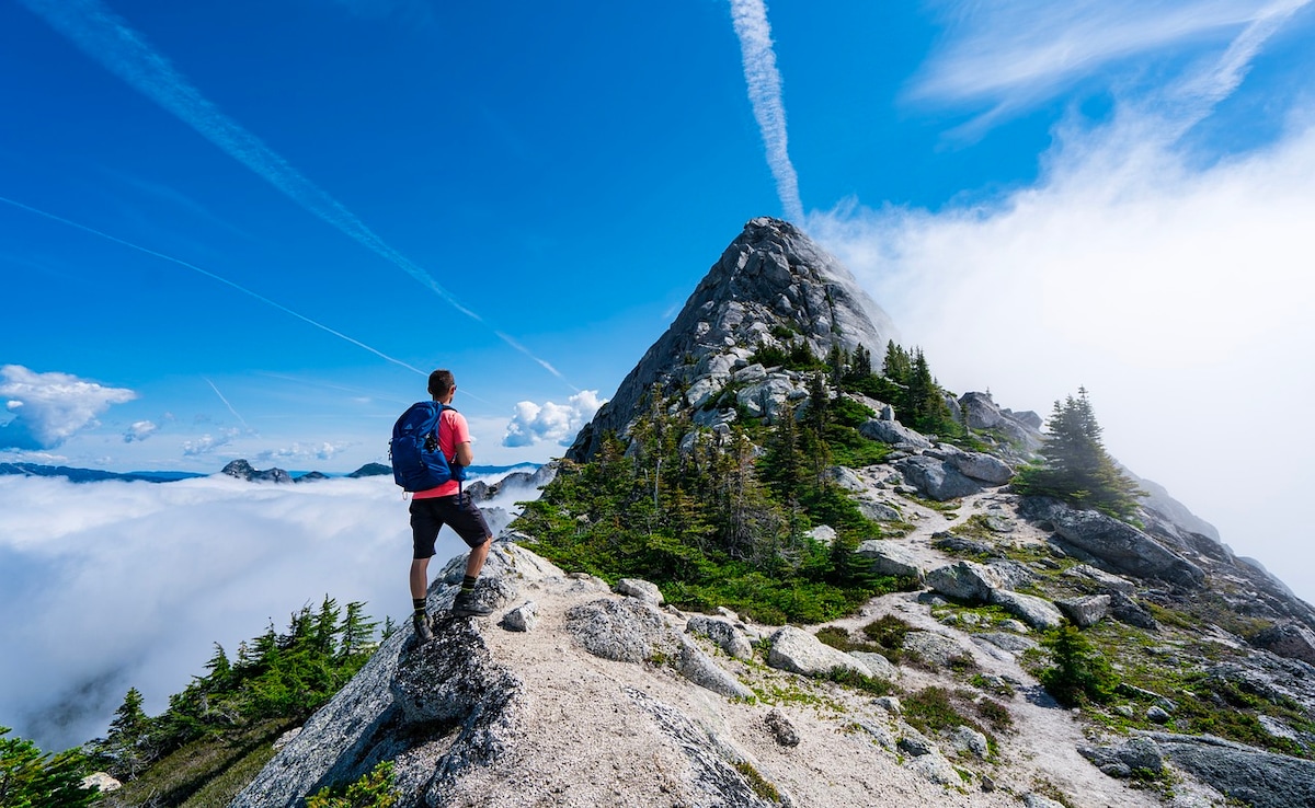 бързо четене Резюме е генериран от AI прегледано Newsroom Да