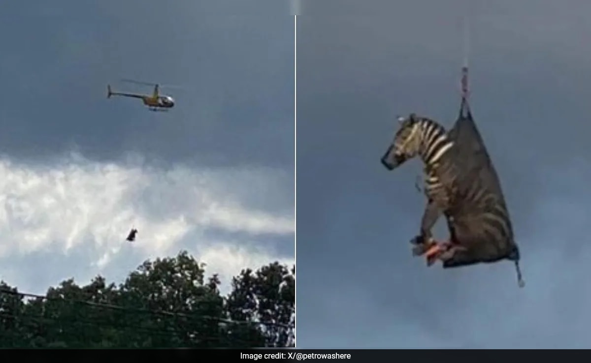 Бързо четене Резюме е генериран от AI прегледано Newsroom Ед