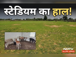 Dhamtari Mini Stadium: मिनी स्टेडियम में खिलाड़ियों की जगह दिख रहीं बकरियां, खंडहर हुआ 52 लाख रुपये से बना ग्राउंड