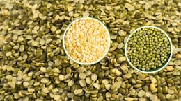 Moong Dal: स्वाद और सेहत का भंडार है मूंग, जानें चमत्कारी फायदे? इन तरीकों से करें अपनी डाइट में शामिल
