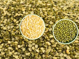 Moong Dal: स्वाद और सेहत का भंडार है मूंग, जानें चमत्कारी फायदे? इन तरीकों से करें अपनी डाइट में शामिल Moong Dal: स्वाद और सेहत का भंडार है मूंग, जानें चमत्कारी फायदे? इन तरीकों से करें अपनी डाइट में शामिल