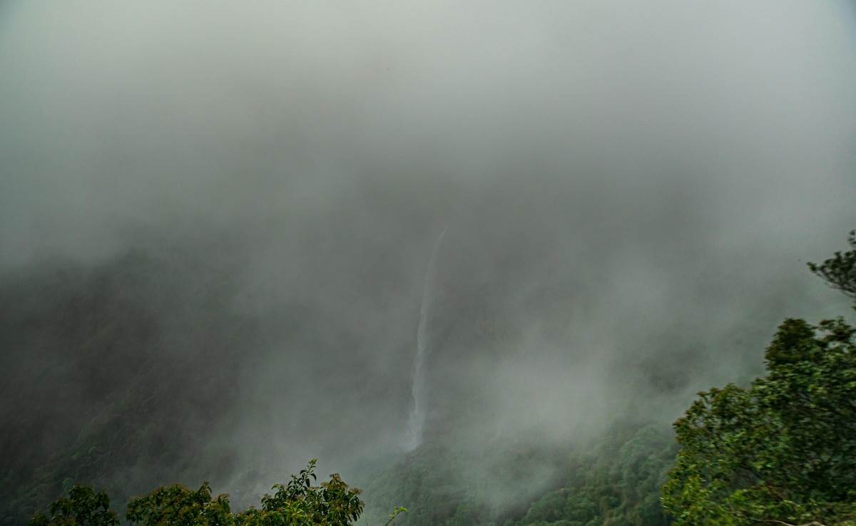 Latest and Breaking News on NDTV Latest and Breaking News on NDTV