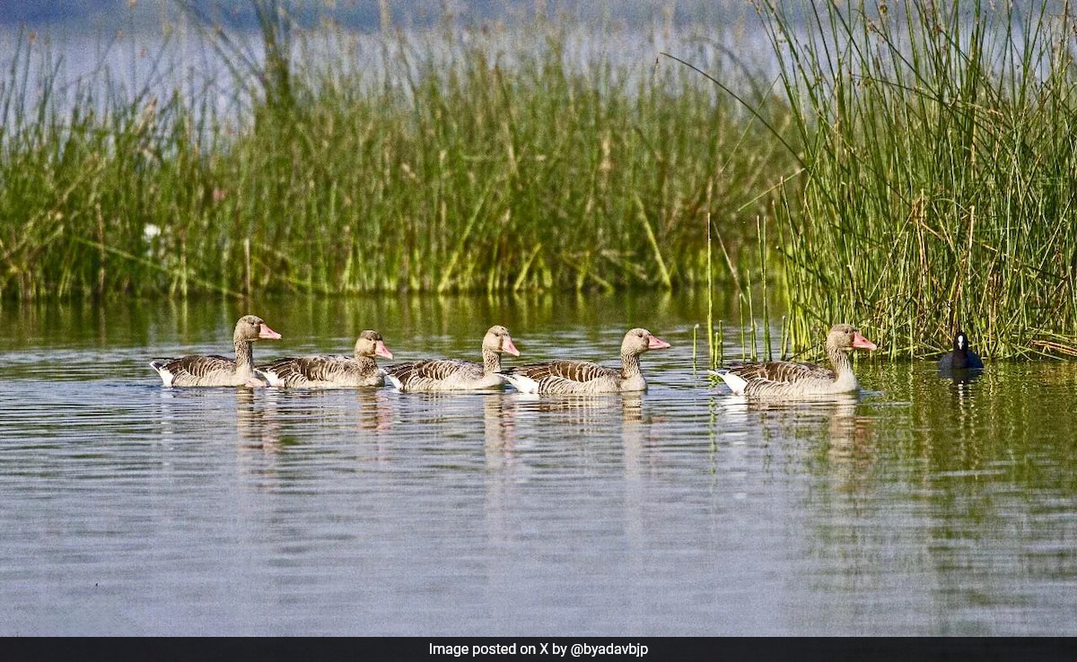 New Delhi Още два сайта от Индия са добавени към