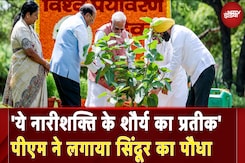 PM Modi ने अपने आवास पर लगाया सिंदूर का पौधा, बोले नारीशक्ति के शौर्य का प्रतीक | Operation Sindoor PM Modi ने अपने आवास पर लगाया सिंदूर का पौधा, बोले नारीशक्ति के शौर्य का प्रतीक | Operation Sindoor