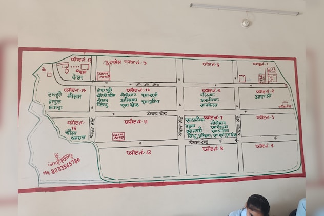 अगले 6 महीने में पौधा फूल और फल देने की स्थिति में तैयार हो जाता है. अगले 6 महीने में पौधा फूल और फल देने की स्थिति में तैयार हो जाता है.