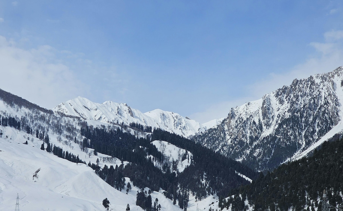 Latest and Breaking News on NDTV Latest and Breaking News on NDTV