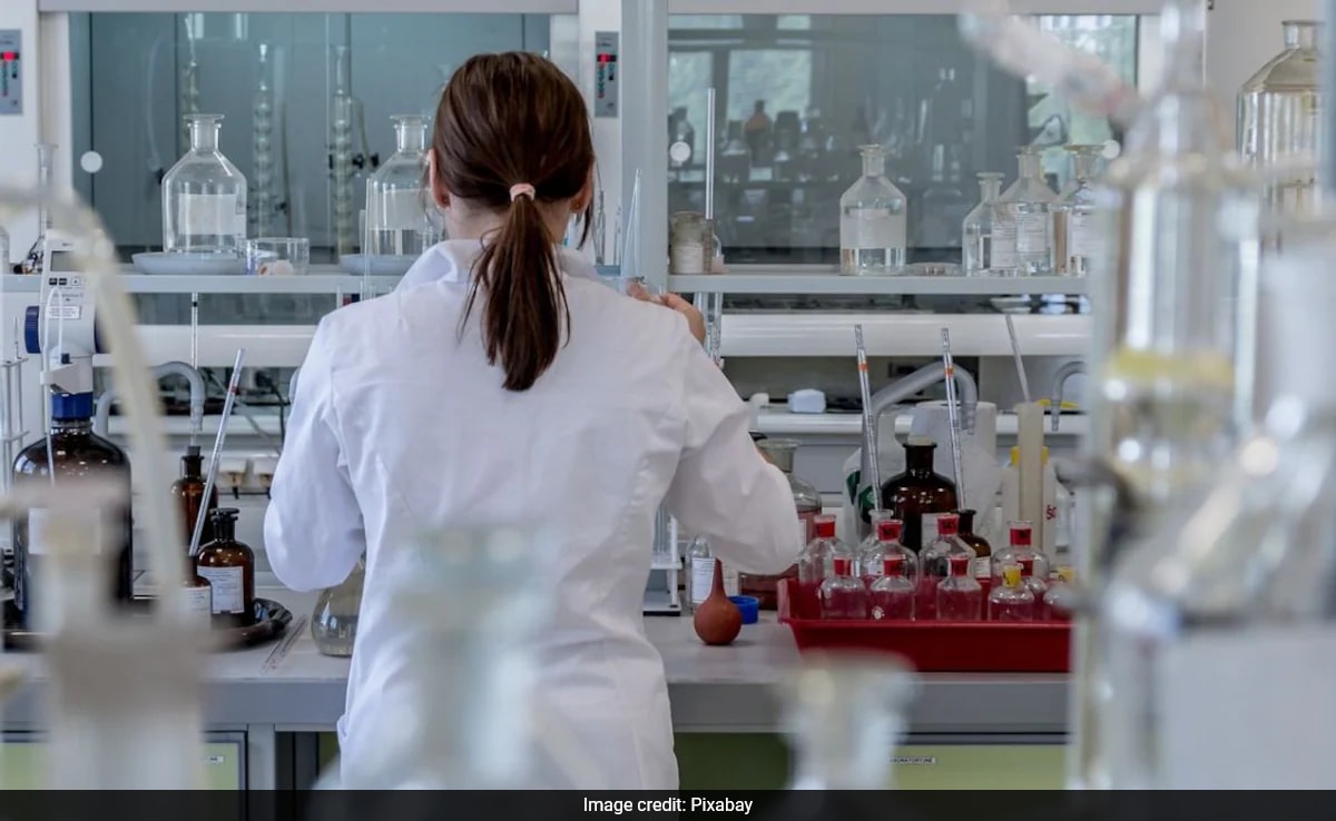 С бившия президент на САЩ Доналд Тръмп обратно във властта