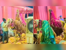 दुल्हन ने घोड़ी पर चढ़कर ली शादी में शाही एंट्री, वायरल वीडियो ने इंटरनेट पर मचाया तहलका दुल्हन ने घोड़ी पर चढ़कर ली शादी में शाही एंट्री, वायरल वीडियो ने इंटरनेट पर मचाया तहलका