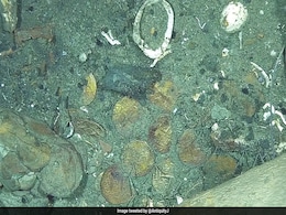 Lost Ship Carrying $16 Billion Treasure Confirmed As "World's Richest Shipwreck", Sparks Ownership Battle Lost Ship Carrying $16 Billion Treasure Confirmed As "World's Richest Shipwreck", Sparks Ownership Battle